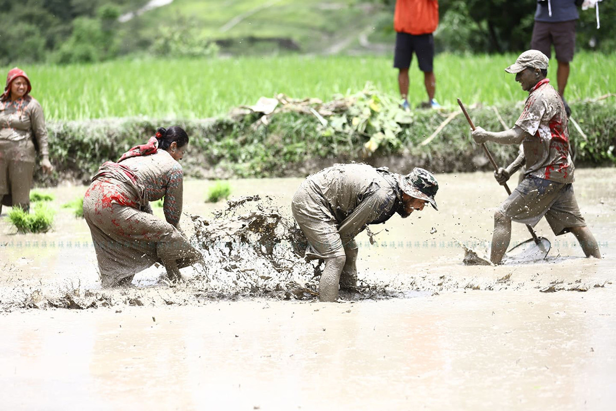 https://raracms.setopati.com/uploads/shares/2020/sujita/dhan diwas/dhan diwas (1).jpg